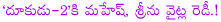 mahesh and srinu vytla combo movie dookudu,mahesh and srinu vytla combo movie again,mahesh busy with seethamma vakitlo sirimalle chettu andh sukumar movie,mahesh and srinu vytla movie will start in 2013,ntr and srinu vytla combo movie badshah